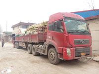 ʯ���N���Cе�S���N��ʯ���컨���O��S�Ұl(f��)؛